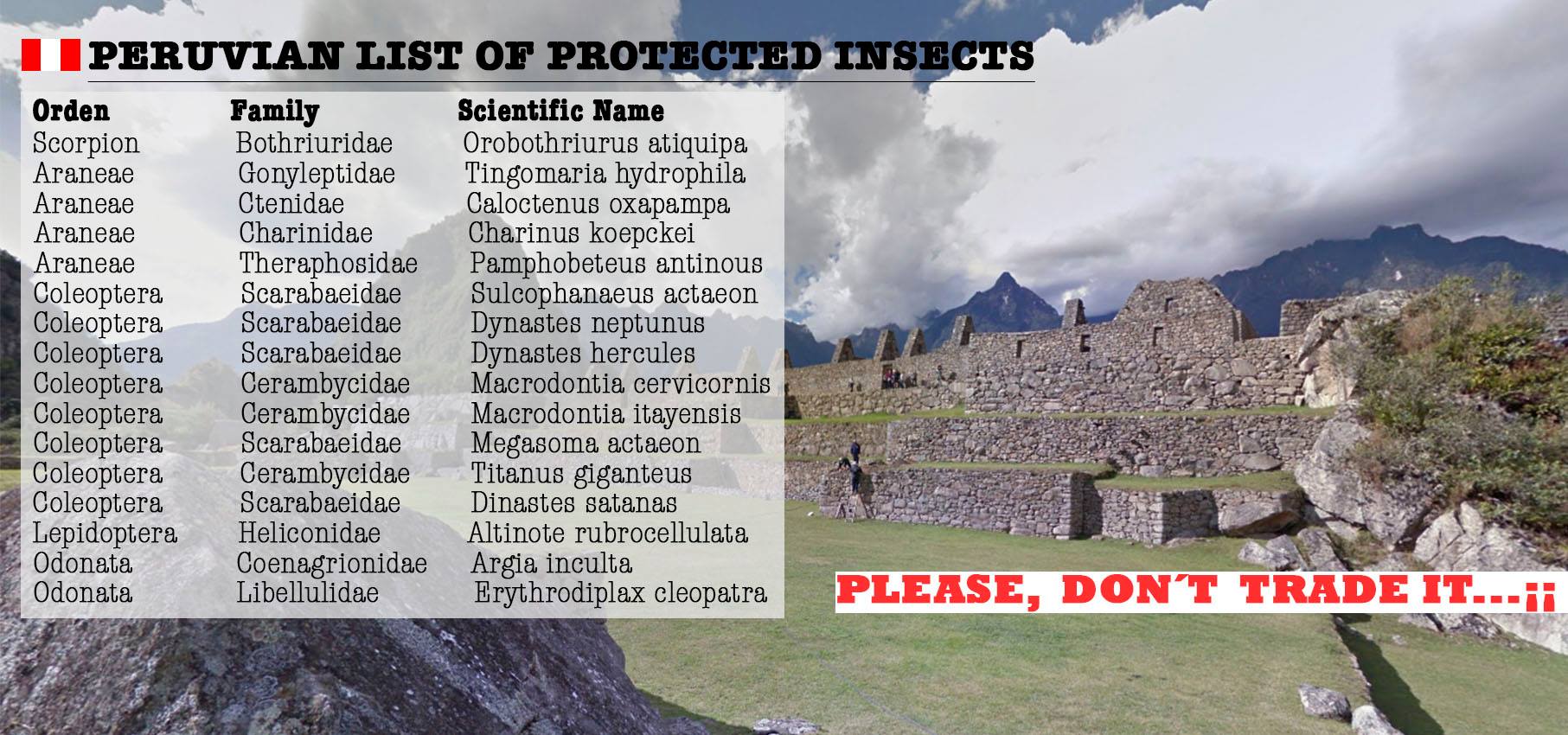 Peruvian Protected Insects